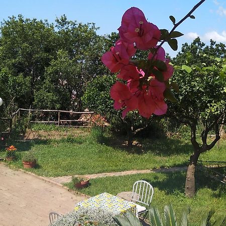 B&B Casa Gemma Lamezia Terme Zewnętrze zdjęcie